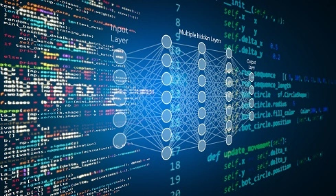 Die Bedeutung der Datenwissenschaft: Ein umfassender Überblick